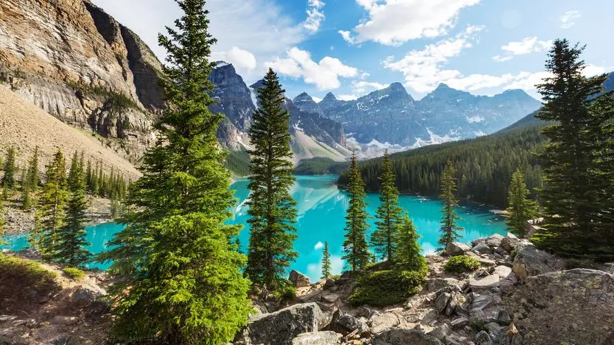 电子高性能网络化